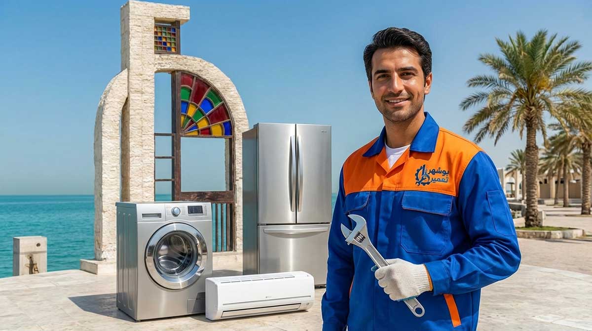 بوشهر تعمیر چیست؟